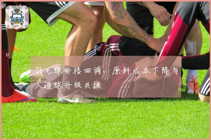 羽毛球价格回调，原料成本下降与人造球升级共振