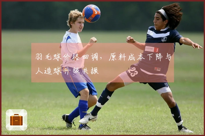 羽毛球价格回调，原料成本下降与人造球升级共振