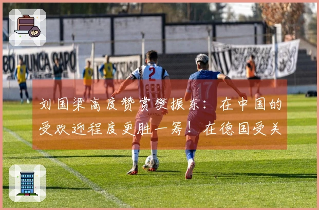 刘国梁高度赞赏樊振东:在中国的受欢迎程度更胜一筹!在德国受关注则源自获得的尊重